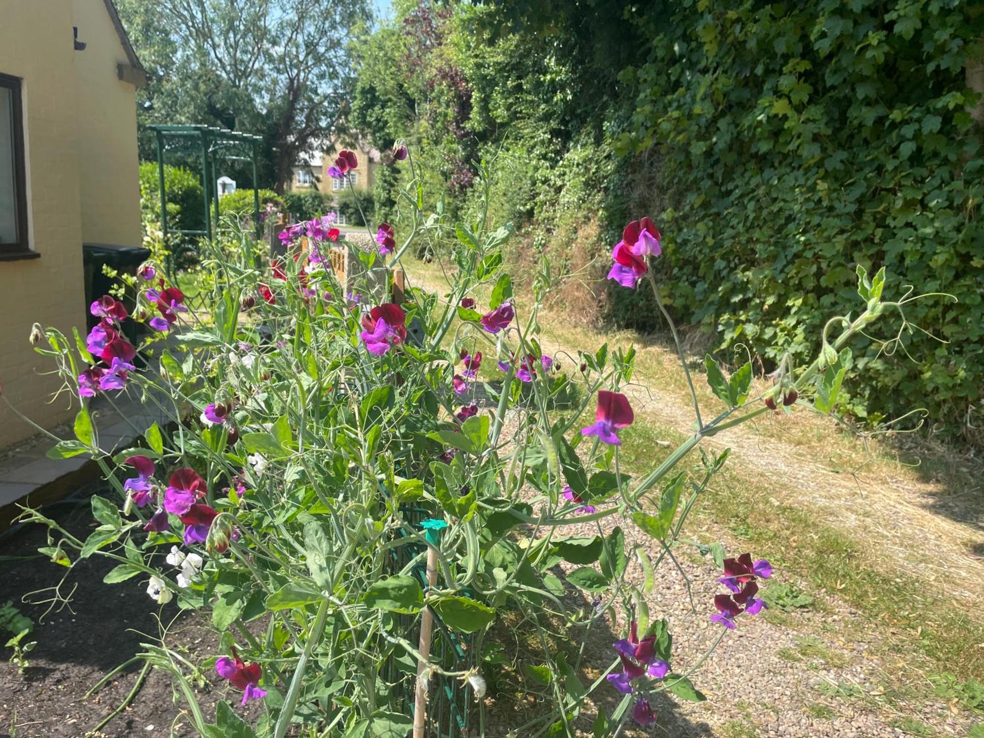 הוילה Sheldon House - Broadway - Cotswolds מראה חיצוני תמונה